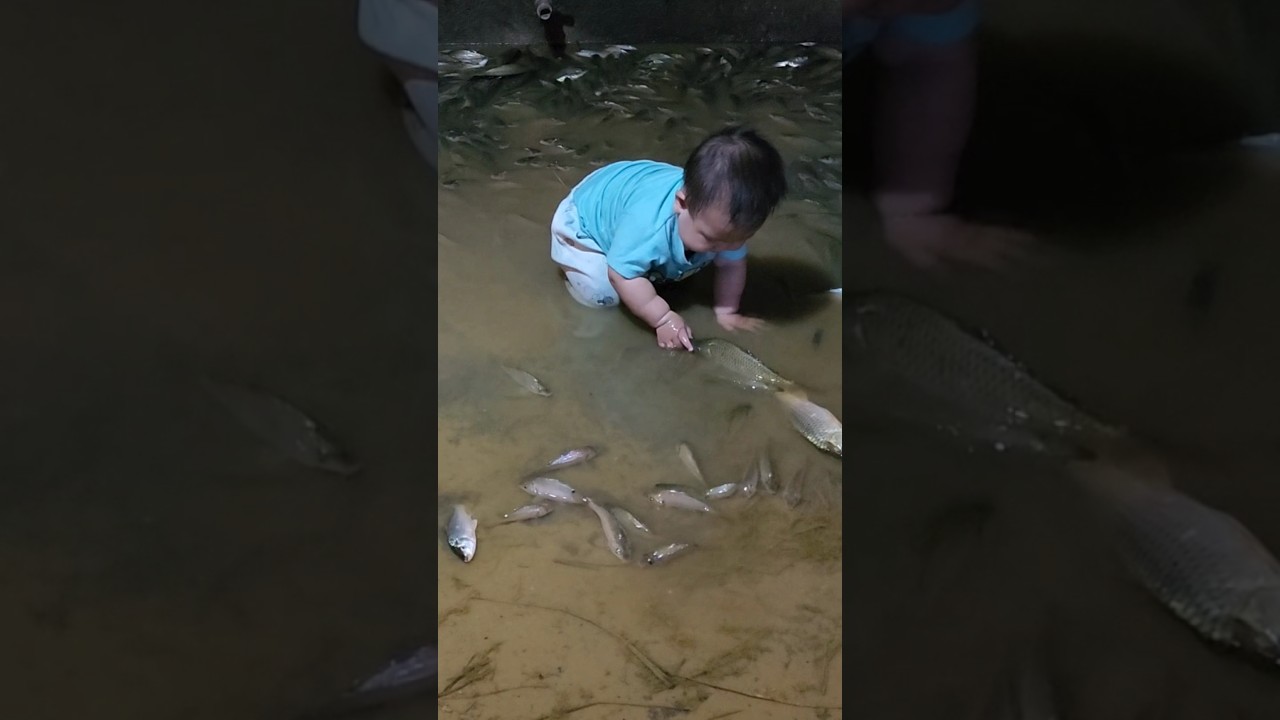 baby and the lovely fish #singlemomnewlife #baby #cute #shorts #singlemother