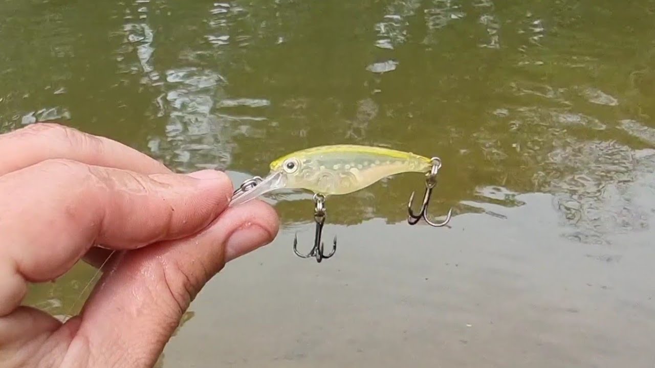 Esta isca deixa os peixes malucos - Pescaria de Jacundá (Joana) com Ultralight