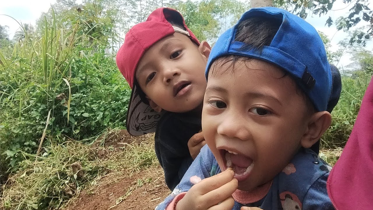 Ngadem di kebun sambil nyari cacing dan main perosotan