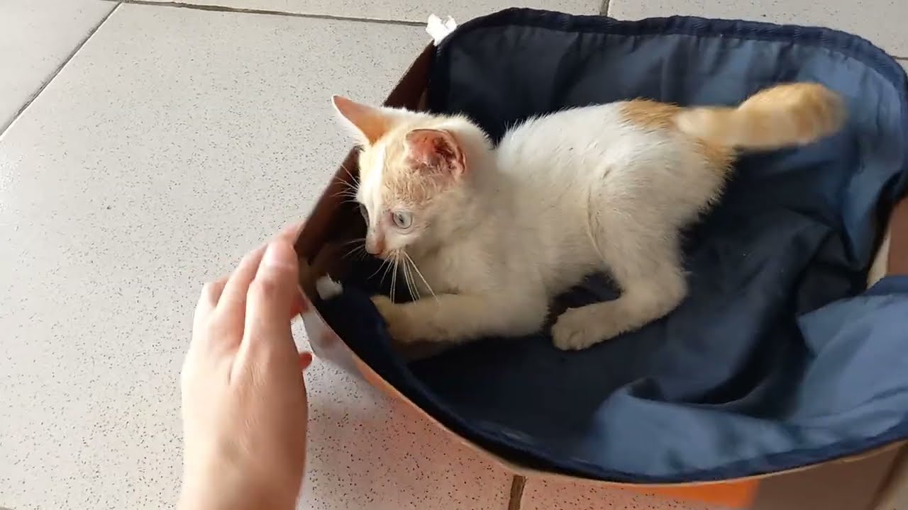 Los dos en una caja pequeña🙃🙃
