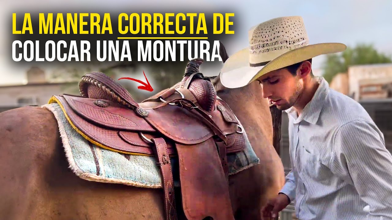 La manera CORRECTA de colocarle la MONTURA a tu caballo | Tutoriales Vaqueros 🤠