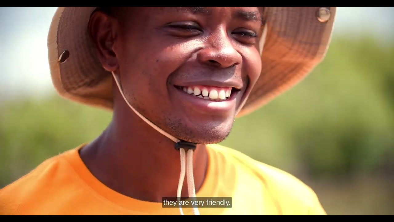 Meet some of Kenya's Mangrove Champions
