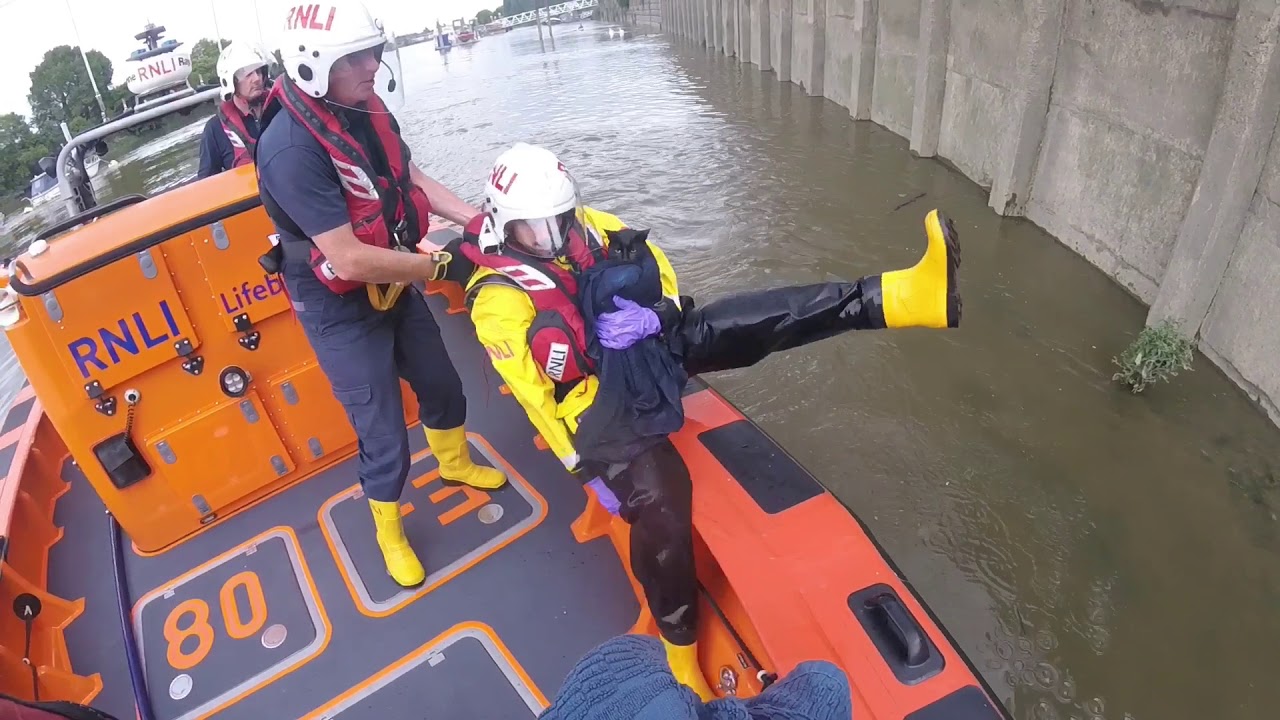 RNLI Rescue Cat From Thames as Tide Rises