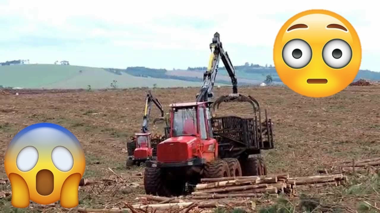 O OPERADOR QUE FEZ 40 VIAGENS | FORWARDER KOMATSU 895
