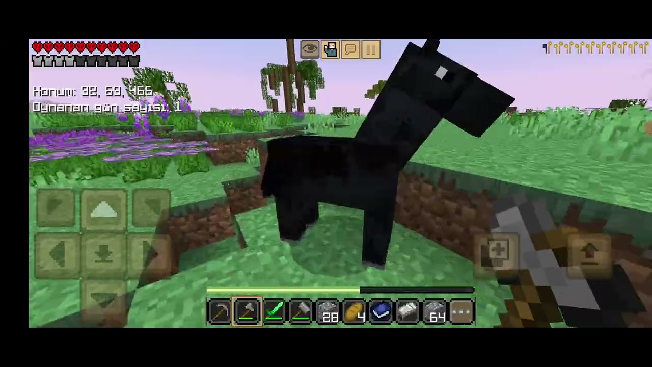 Minecraft hardcore bölüm 1