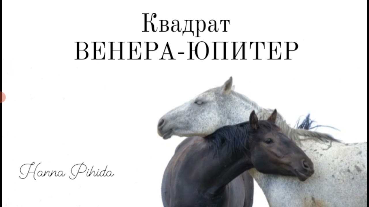 Квадрат ВЕНЕРА-ЮПИТЕР. Hanna Pihida