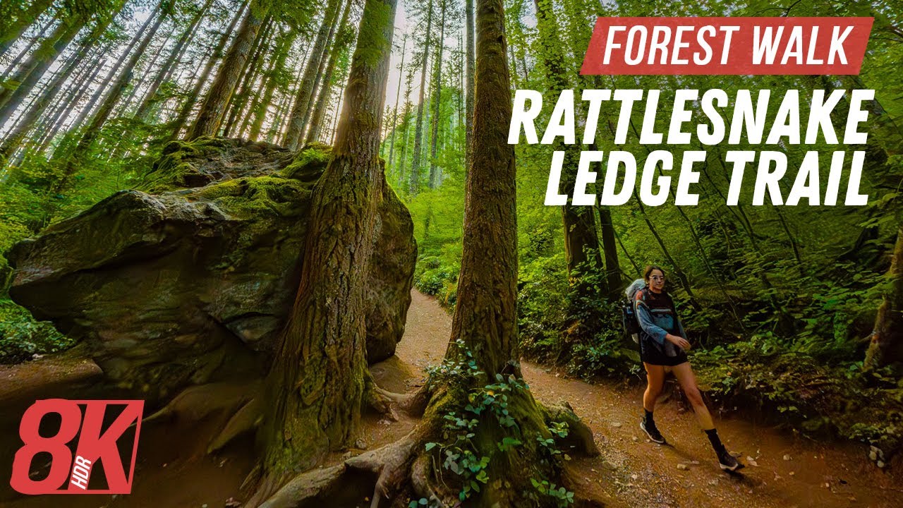Mountain Forest Walk for Treadmill Workout - 8K HDR Rattlesnake Ledge Trail with Authentic Sounds