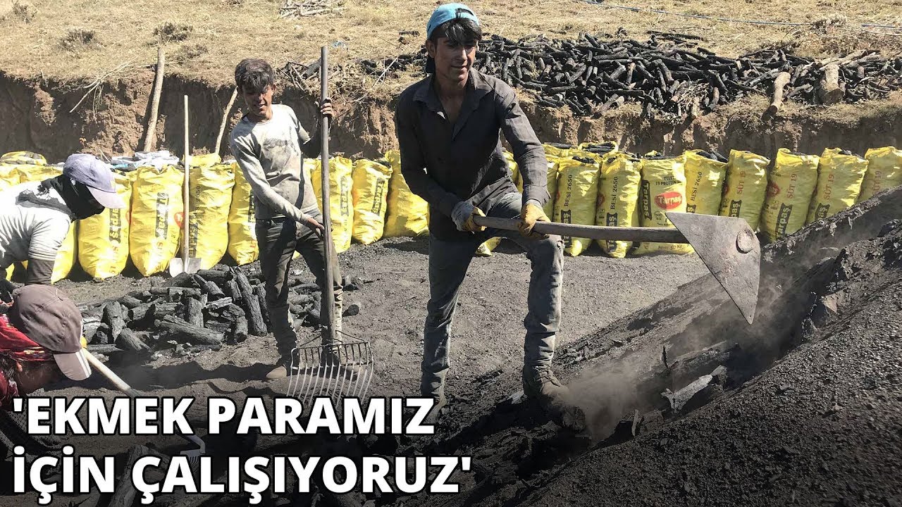 İşçilerin zorlu mangal kömürü mesaisi başladı... Kilosunu 3,5 TL'den satıyorlar