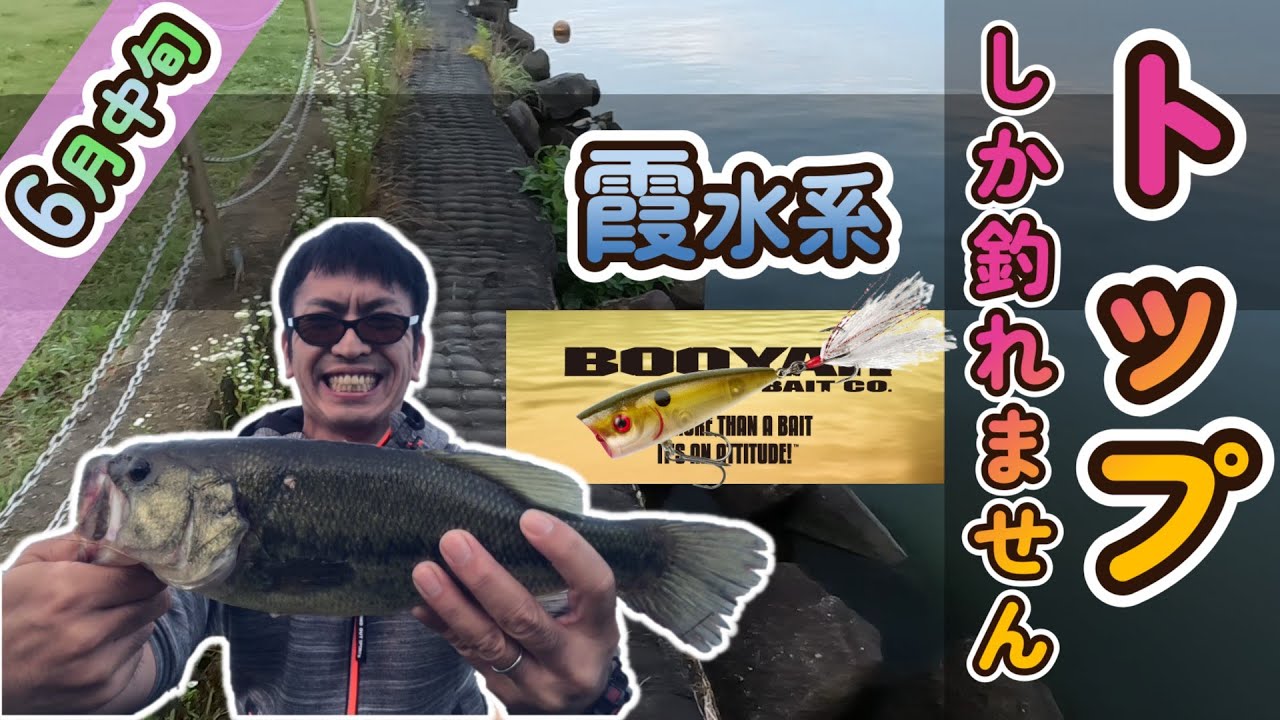 【バス釣り】霞水系_低活性だからこそトップウォーター_常陸利根川_6月中旬2022年6月15日～6月19日