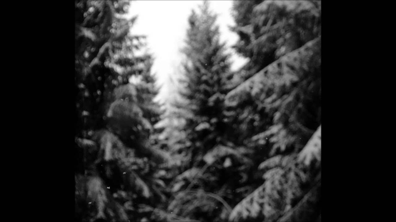 Ancient Obscurity - Lehdon Levossa