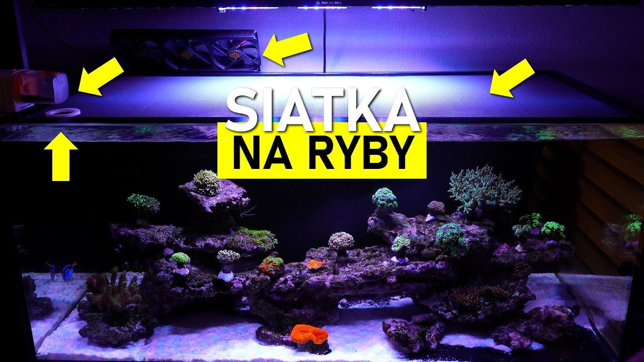 DIY🛠️ Siatka na Ryby 🐟🐠🐡 - po taniości  😮