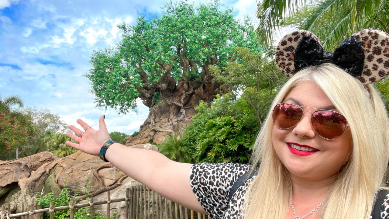 Видеоблог Walt Disney World, октябрь 2022 г. 🌳 Disney's Animal Kingdom и Universal Studios 🌎, эпи...