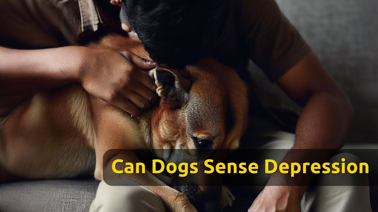 Can Dogs Sense Depression? 😔🐶
