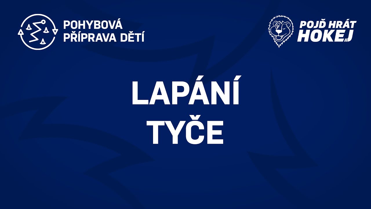 Lap&aacute;n&iacute; tyče