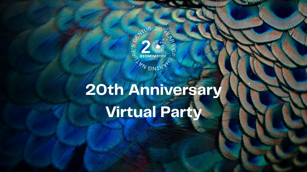 Biomimicry Institute 20th Anniversary Party