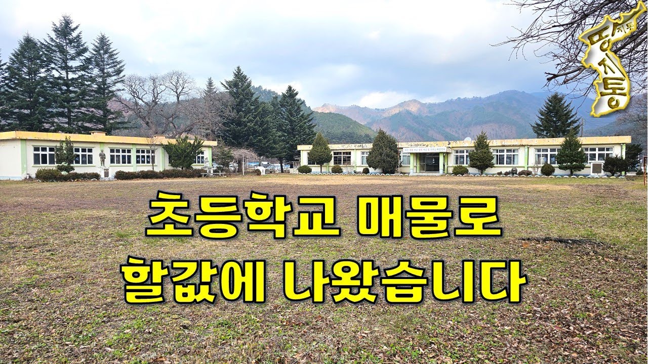 초등학교가 또 폐교되어 매물로 헐값에 나왔어요~토지1631평 건물4동188평[땅지통]