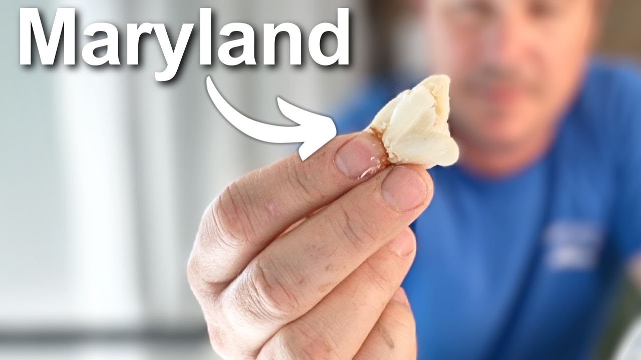 Which Blue Crab Meat Tastes the Best? (I Tried Them All)