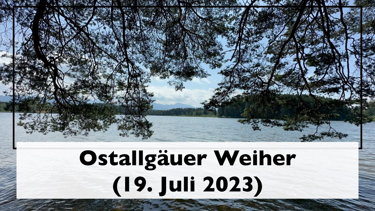 Ostallgäuer Weiher (19. Juli 2023)
