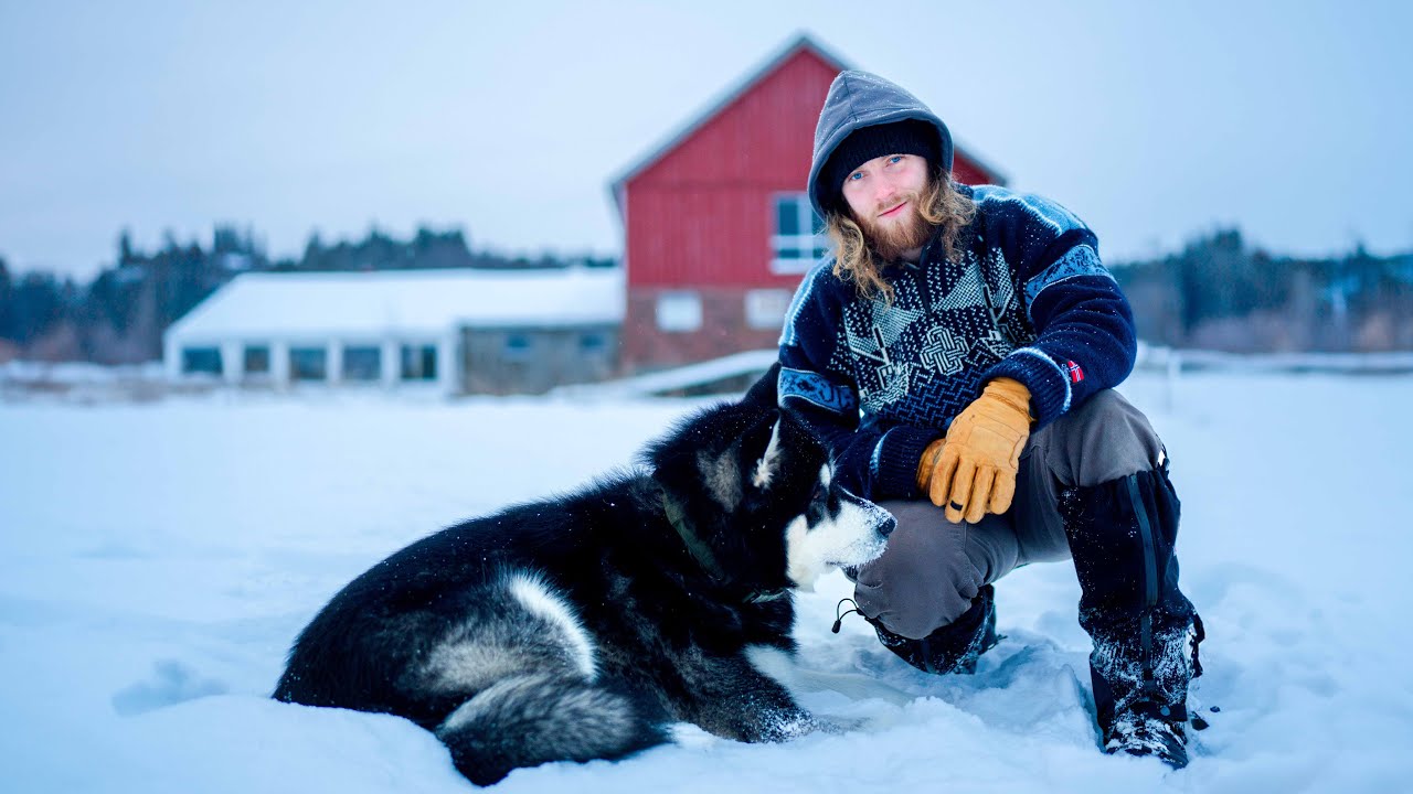 Life on the Farm in Norway, Story 4: Winter, grant applications and silo demolition 🇳🇴