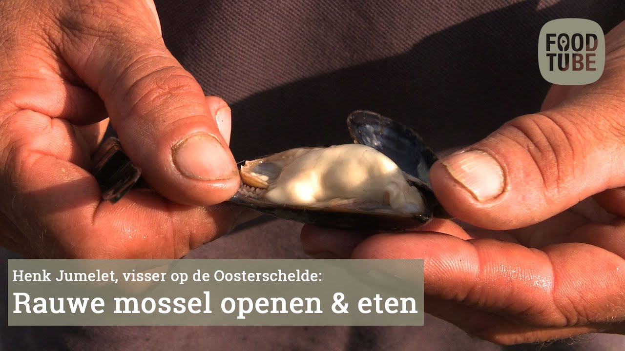 Rauwe mossel openmaken en eten