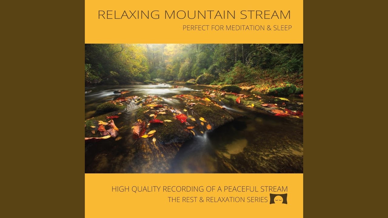 Peaceful Mountain Stream