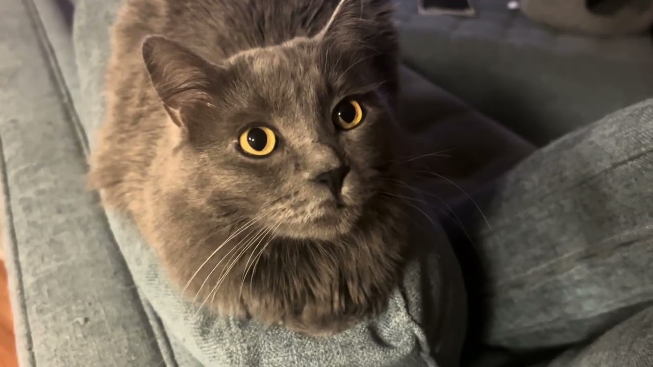 Викторина по вторникам, расширенная версия!!