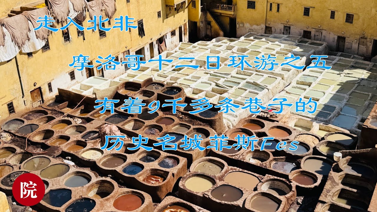 【彬彬有院】行 • 1206 走入北非走入摩洛哥之五，有着9千多条巷子的迷宫一般的著名古城《菲斯》（Fes)，世界上第一所大学《卡鲁因大学》，皮制品买什么最合适，Morocco travel #5