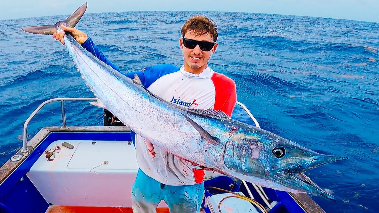 Pêche aux pélagiques sur DCP (Enorme wahoo et Thons) #4k #viralvideo #fishing
