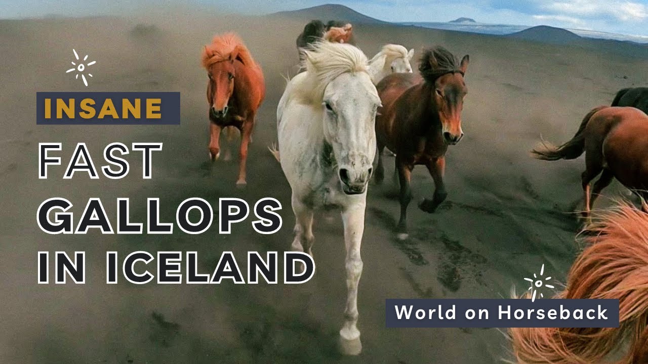 Riding with the herd: Loose horses and fast gallops across the Icelandic highlands (4K)