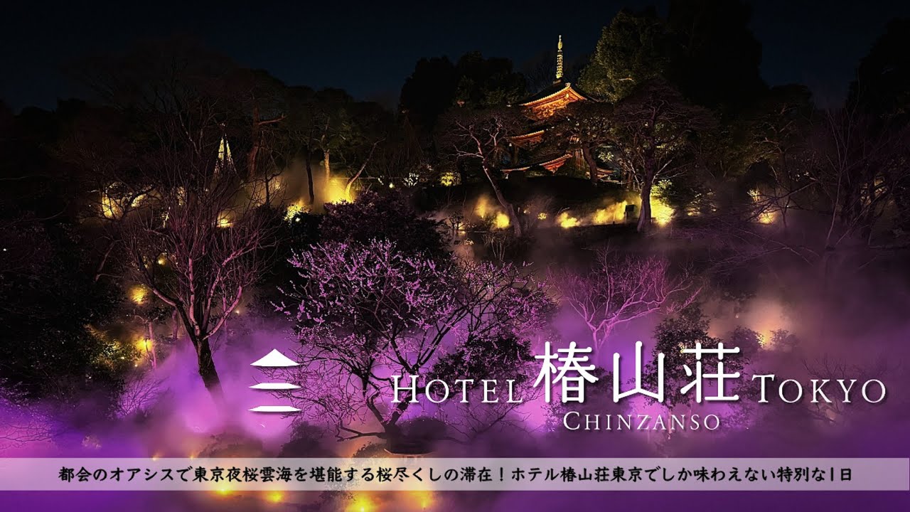 【ホテル宿泊記】東京旅行で春の桜尽くしお花見ステイ…ホテル椿山荘東京で大庭園を堪能【夜桜雲海】