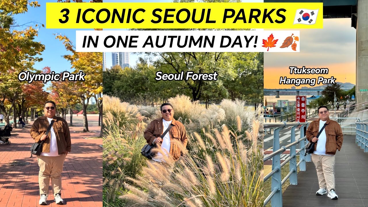 Seoul 2025: Exploring Olympic Park, Seoul Forest, & Picnic at Han River! 🇰🇷🍁🍂