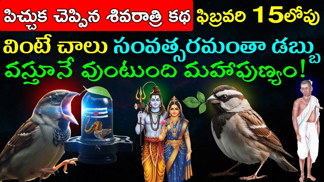 పిచ్చుక చెప్పిన శివరాత్రి కథ ఫిబ్రవరి 15లోపు వింటే చాలు సంవత్సరమంతా డబ్బు వస్తూనే వుంటుంది మహాపుణ్యం