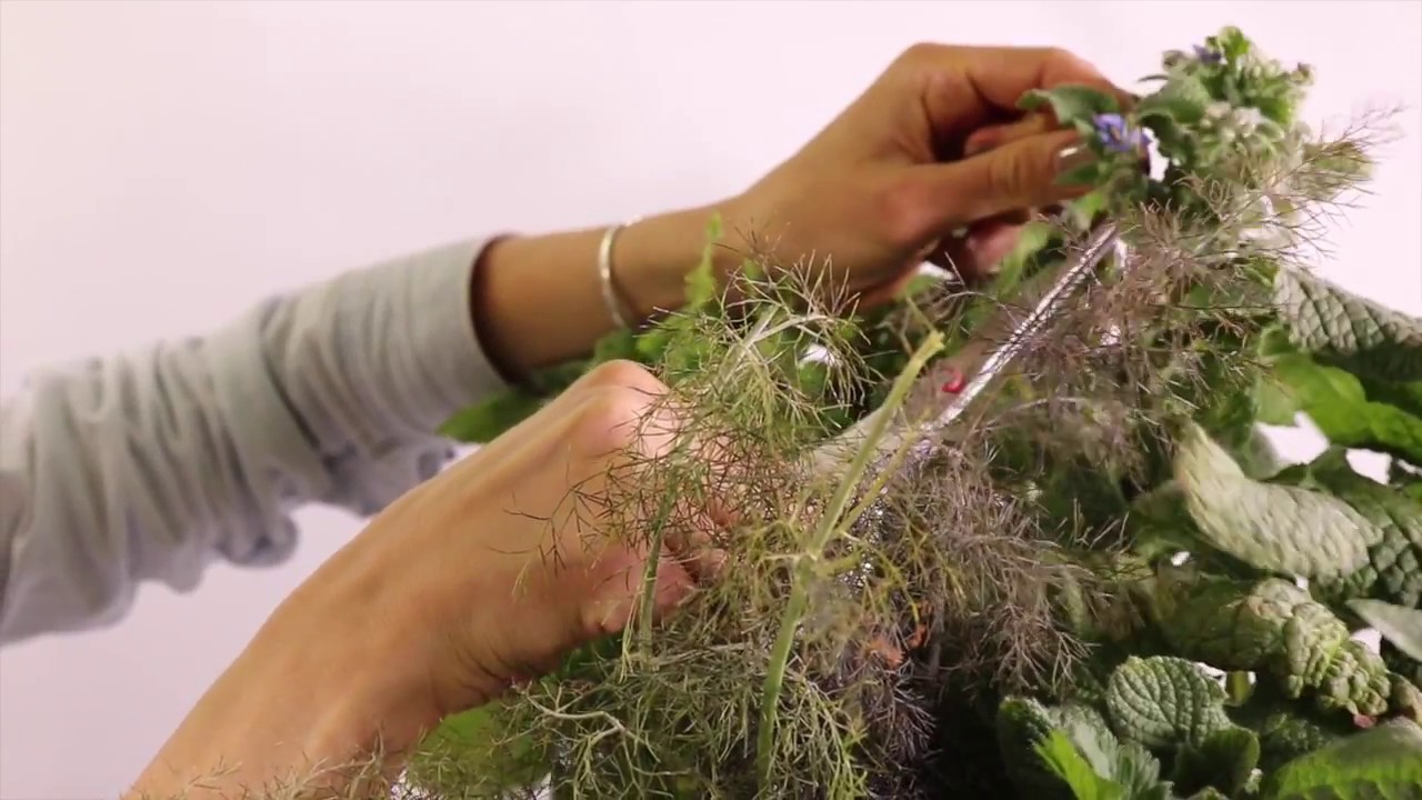 How To Harvest Borage Flowers