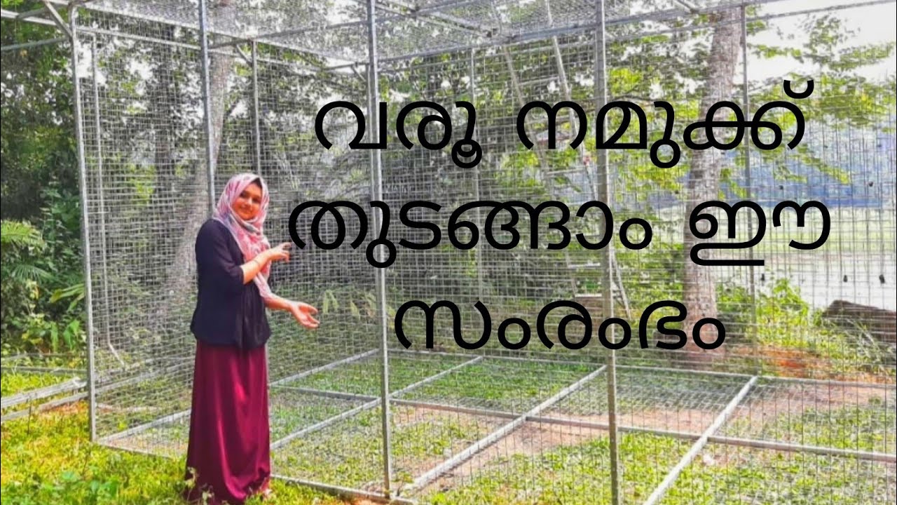 സുഭിക്ഷ കേരള പദ്ധതിയിലെ കൂട് മത്സ്യകൃഷി( fish farming) (juby 's world )