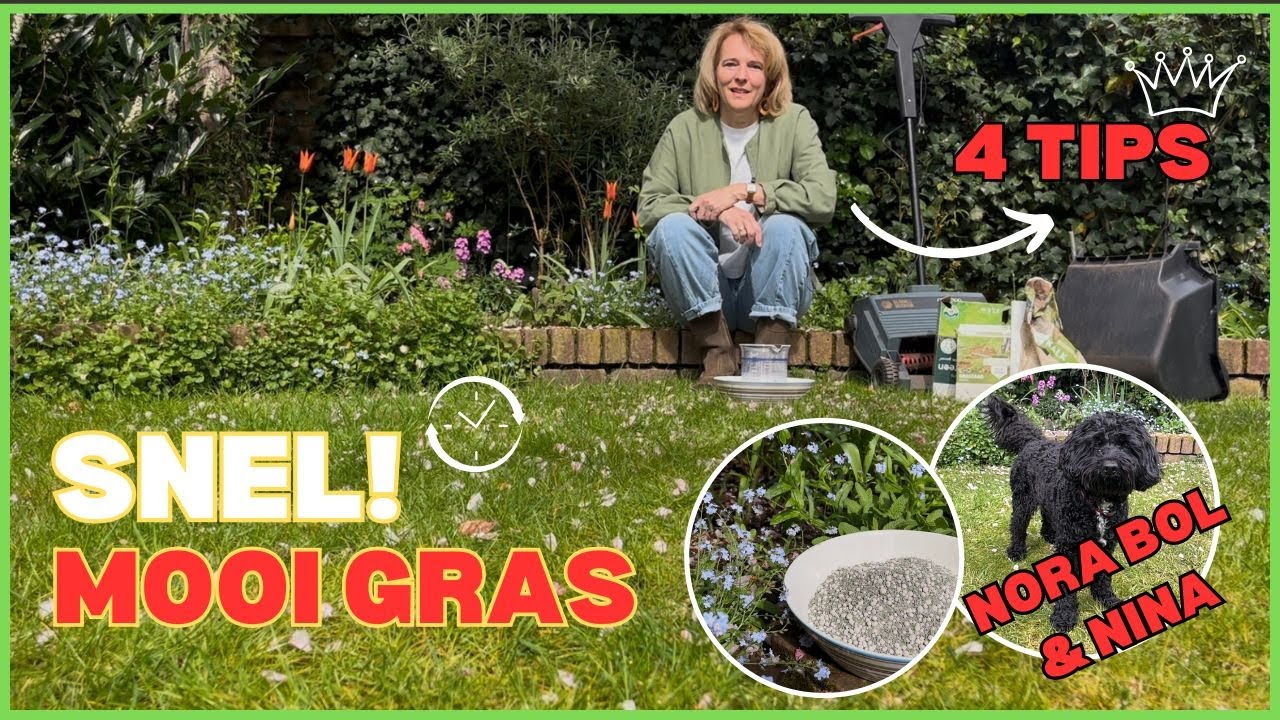 Je gazon weer snel zo groen als gras? Zo doe je dat! 🌱🌱