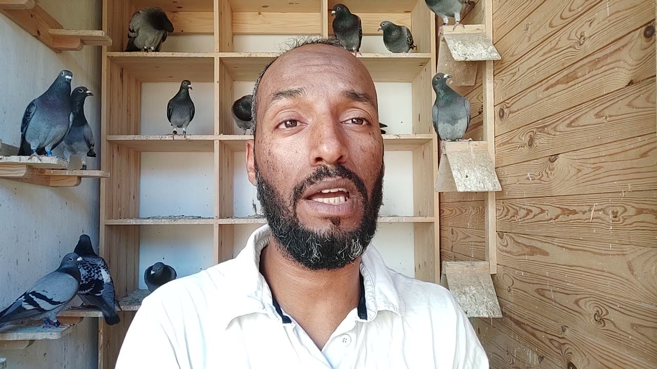 كيفاش خاص نخلصو على لحمام في البرنامج