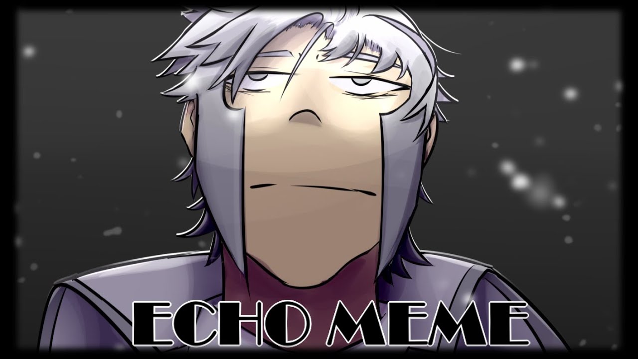 ECHO Meme [Submas] || Mild Flash Warning