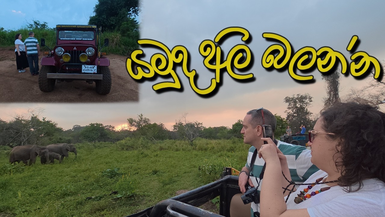 ECO park HABARANA SRI LANKA 🇱🇰 