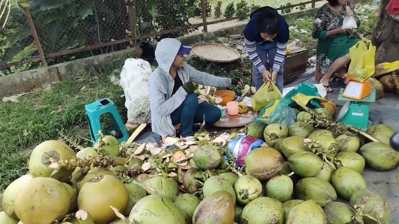 Martabak Telur Martabak Mayo Dampingi Es Kelapa Muda say what's 