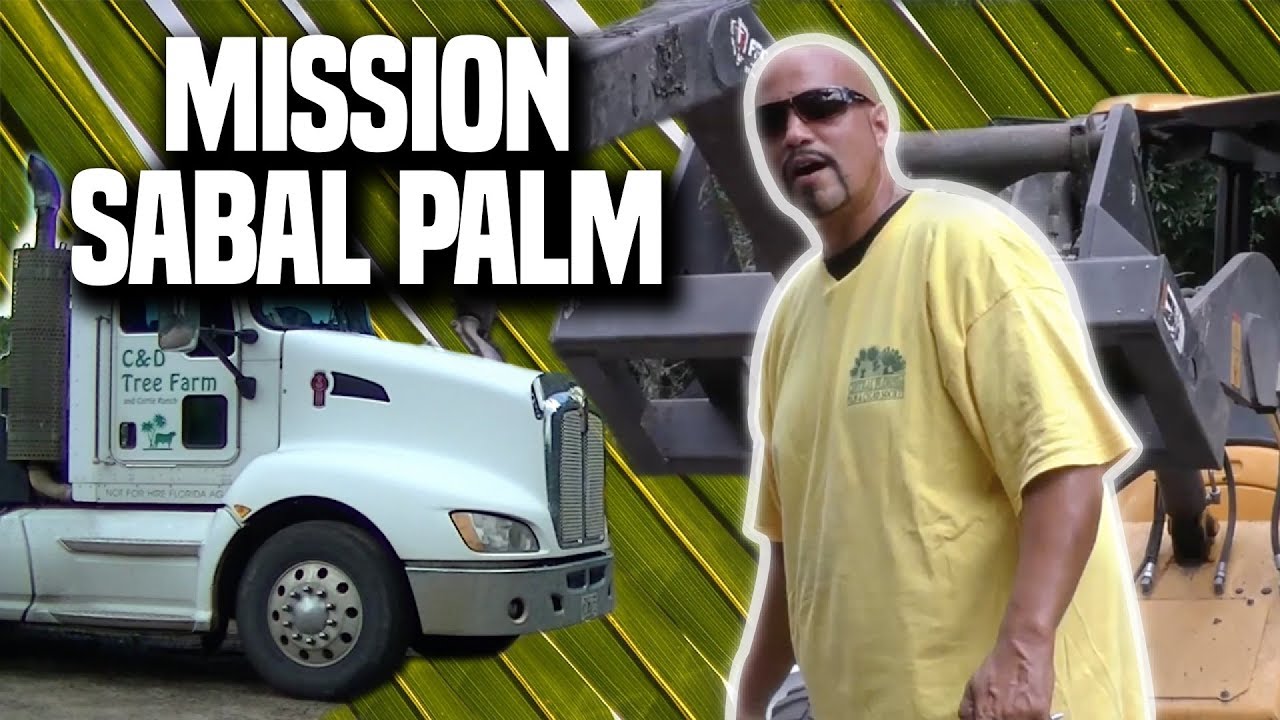New Sabal Delivery
