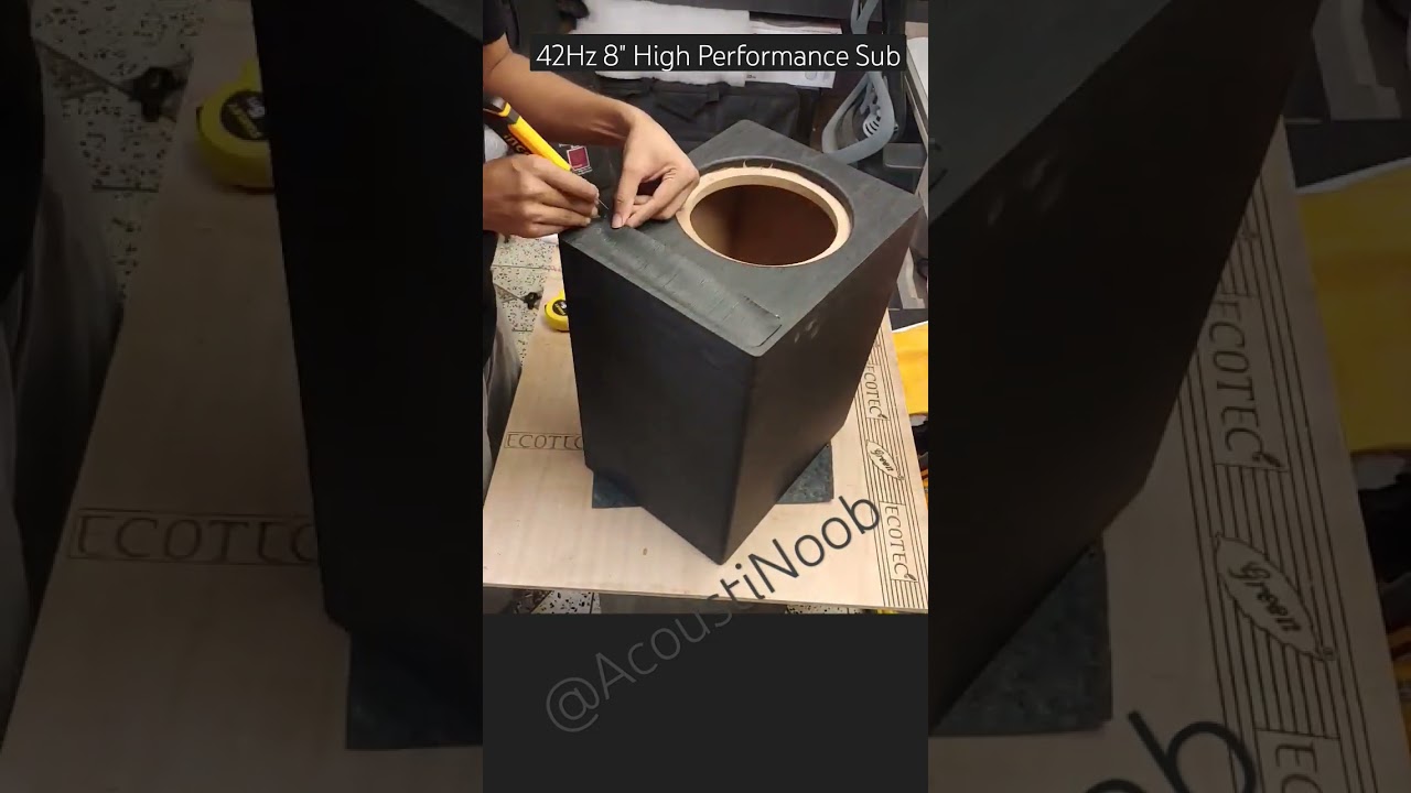 8 inch Subwoofer | Punchy Bass | BIA |SB Acoustics | Dayton | Dynaudio