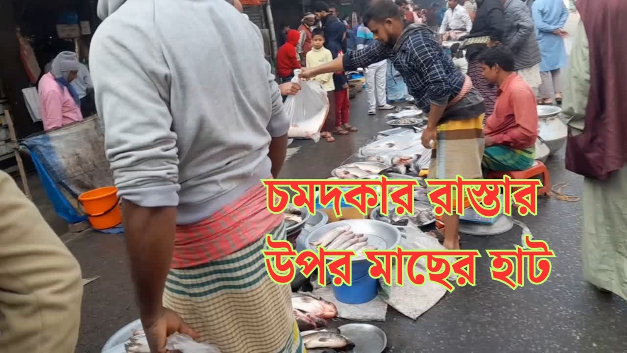 চমদকার রাস্তার উপর মাছের হাট