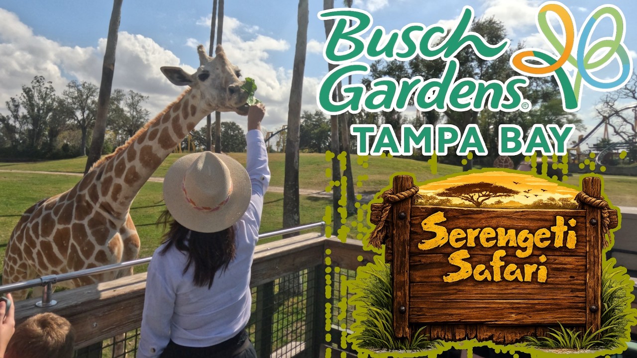 Serengeti Safari + Feeding a Giraffe | Busch Gardens Tampa | Pass Perk!