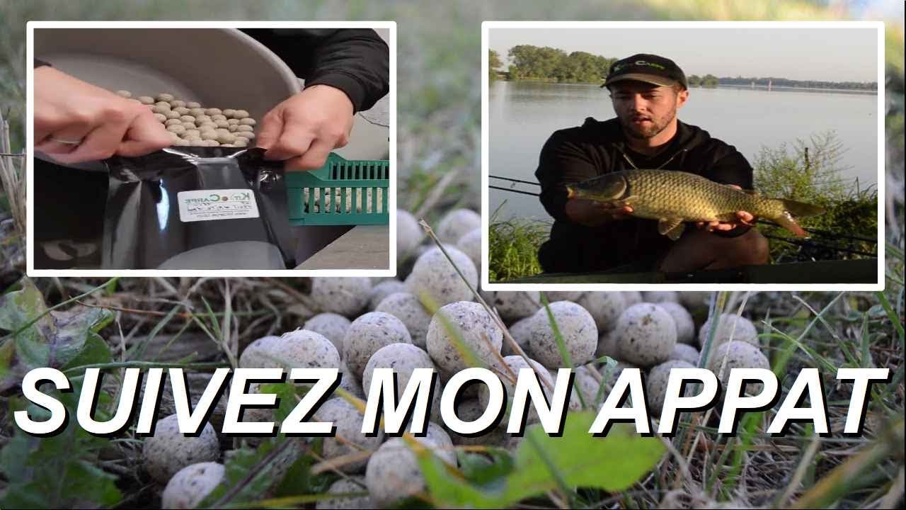 SUIVRE UNE BOUILLETTE DE A &agrave; Z  ( FRUIT WHITE prestige de KitCarpe )