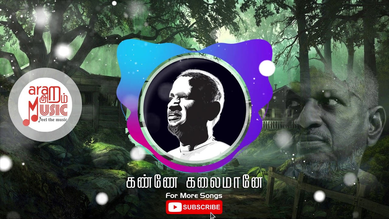 Ilayaraja Instrumental Melody BGM | Kanne Kalaimane | கண்ணே கலைமானே | Aram Music