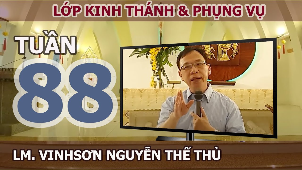 Ý NGHĨA MÀU ÁO LỄ  - TUẦN 88 - LM. VINH SƠN NGUYỄN THẾ THỦ