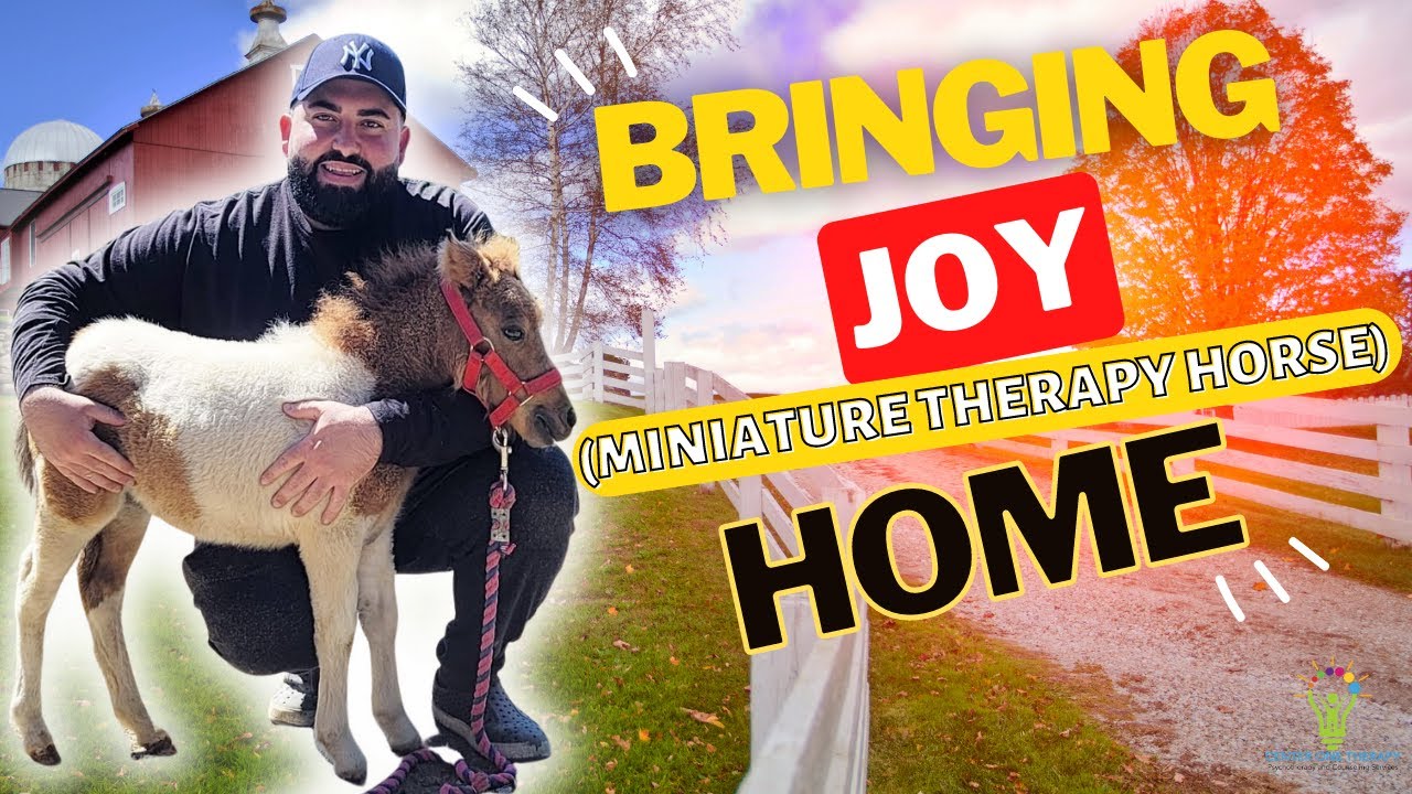 Bringing JOY Home | MINIATURE THERAPY HORSE | Watch Therapist Avi Start His EQUINE THERAPY JOURNEY