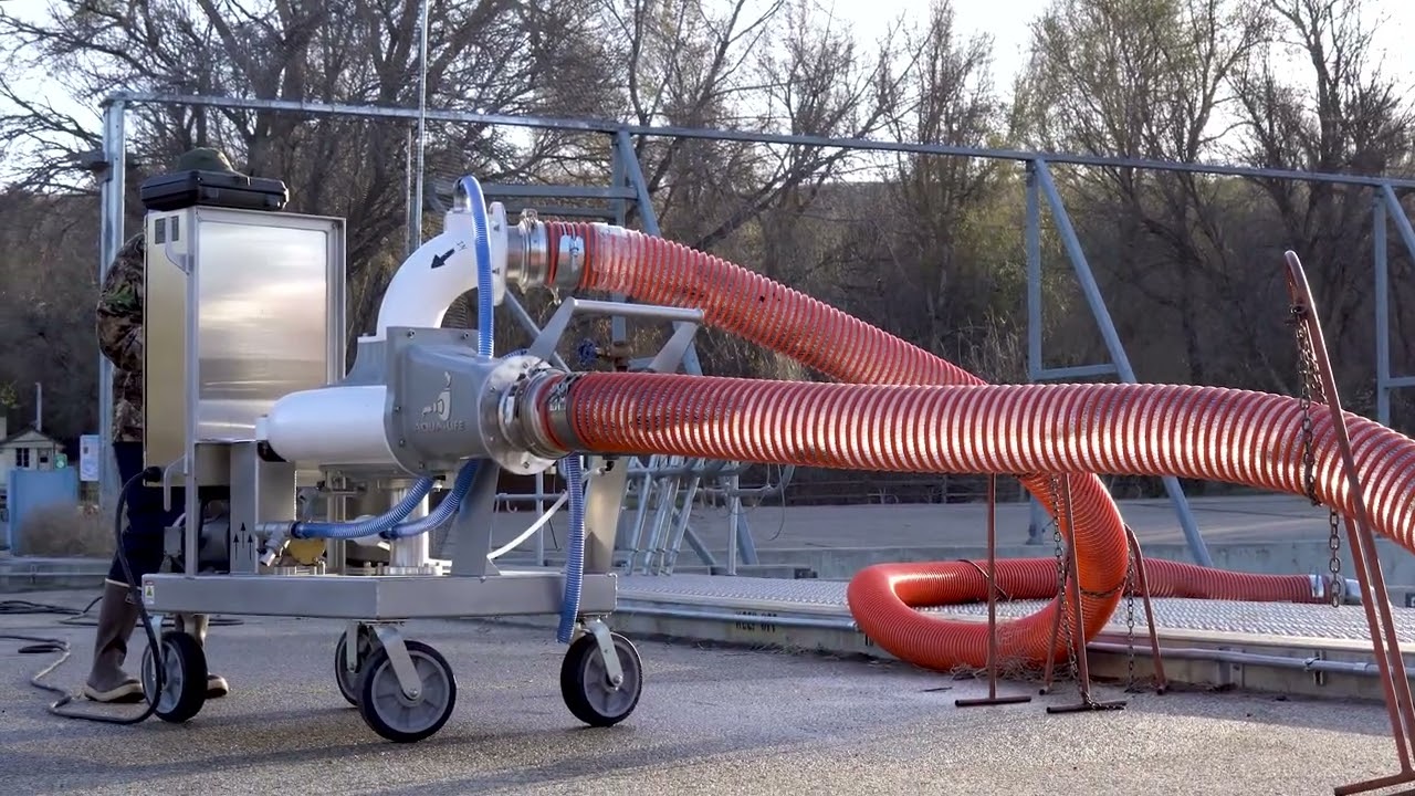 BP60 Live Fish Transfer Pump