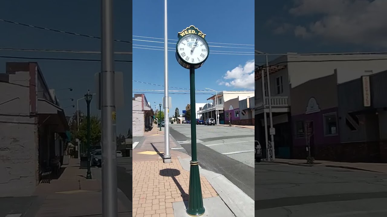 Have You Seen Weed California? Fall 2025 Walking Tour