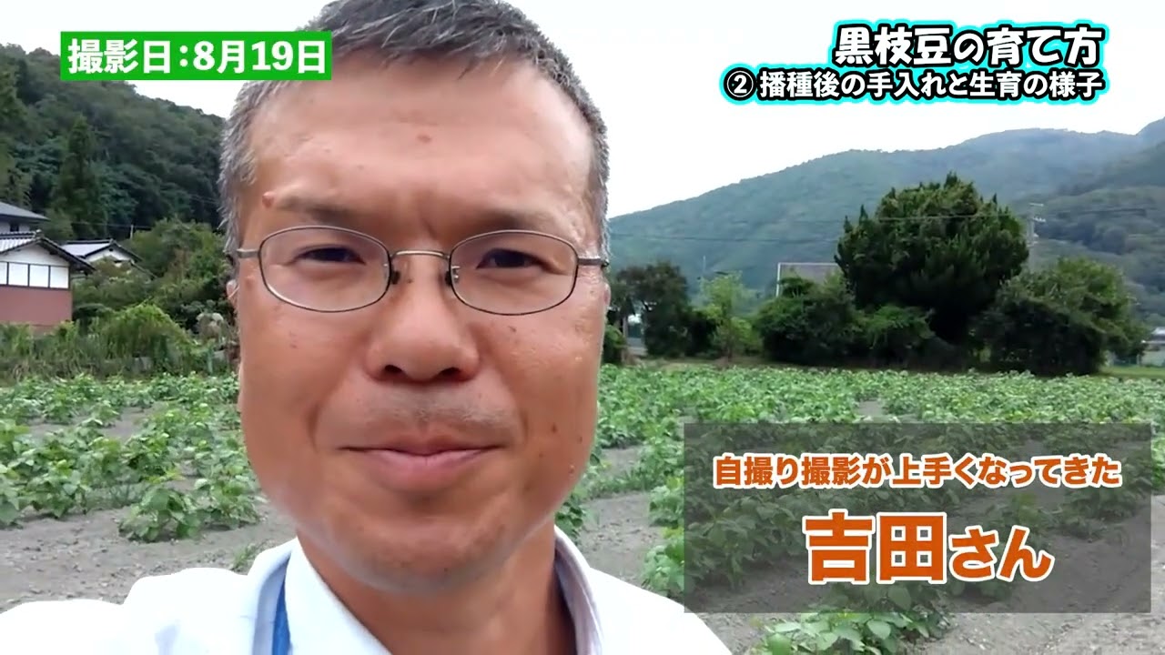 【2】黒枝豆の育て方  育成編